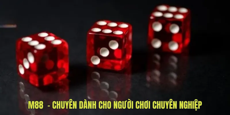 M88 - Chuyên Dành Cho Người Chơi Chuyên Nghiệp