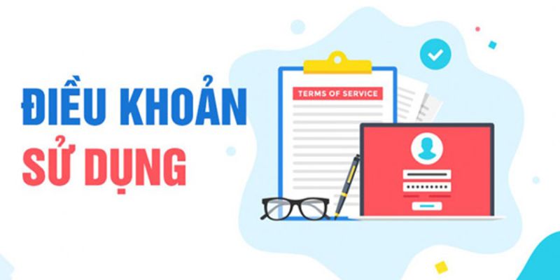 Nội dung chính trong điều khoản sử dụng