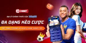 Là lựa chọn hàng đầu