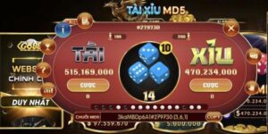 Một số lưu ý cần thiết cho người chơi